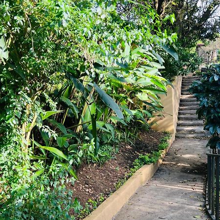 Apartamento Don Jarvey I Monteverde Dış mekan fotoğraf