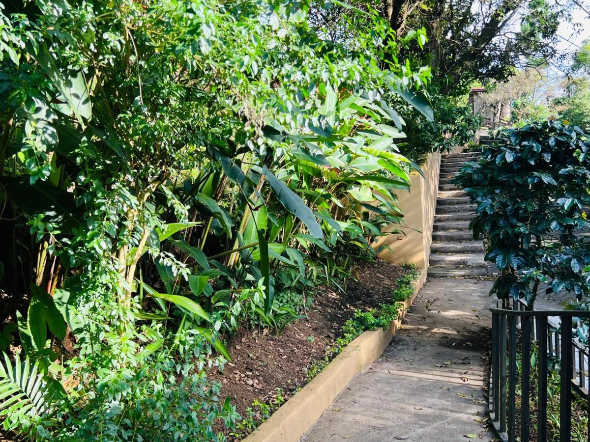 Apartamento Don Jarvey I Monteverde Dış mekan fotoğraf